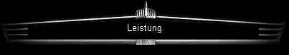 Leistung